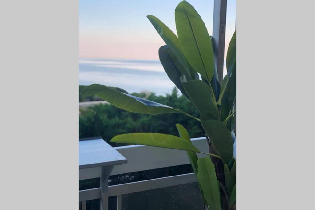 Charmant Studio Avec Terrasse Vue Mer A 50 M Sainte-Maxime Exterior foto